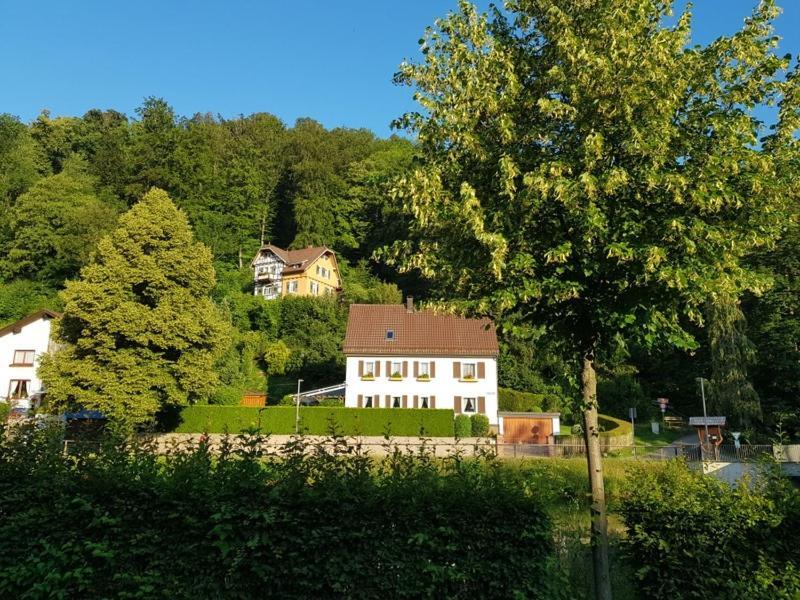 Hotel Schiff Nagold Exterior foto